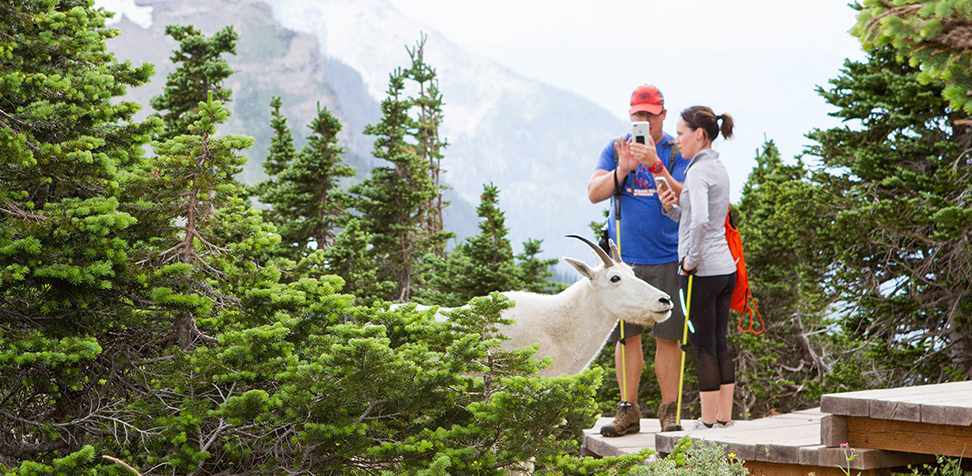 Do’s and Don’ts of Visiting National Parks