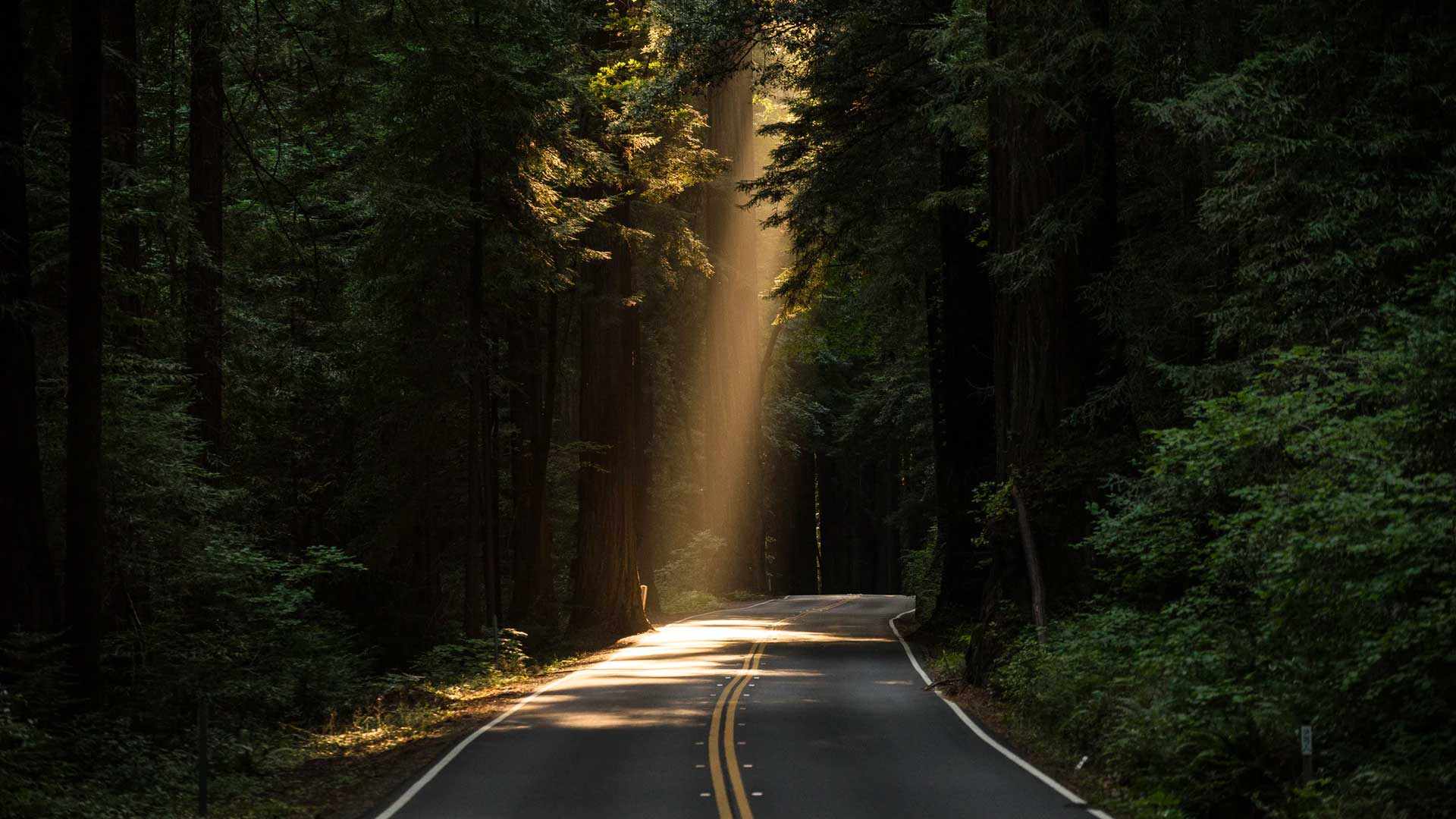 Mapping the Road Ahead: An Owner-Led Q&amp;A with Outdoorsy’s Leadership Team