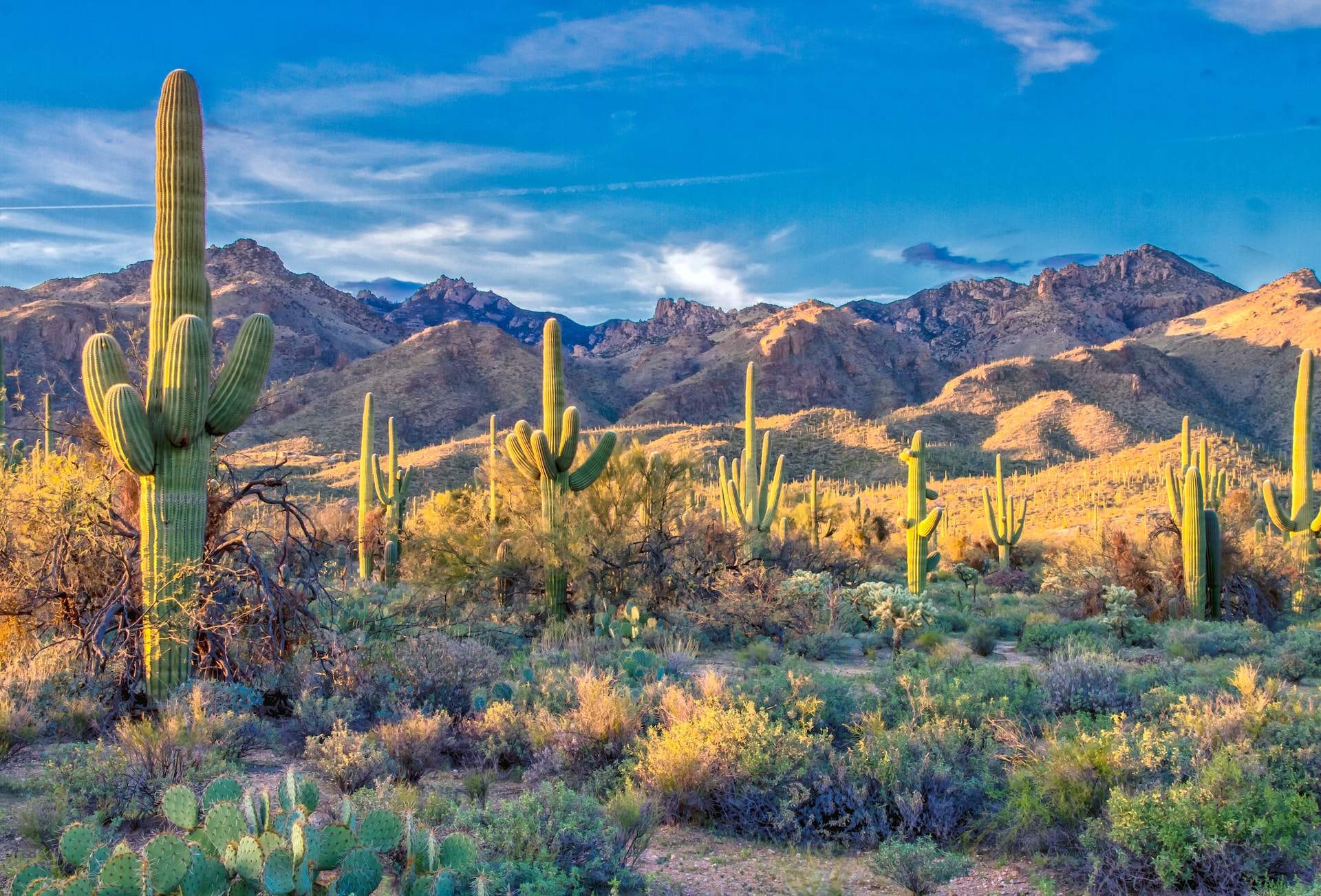 The Best Road Trips From Phoenix: Four Day Roadtrip Itinerary