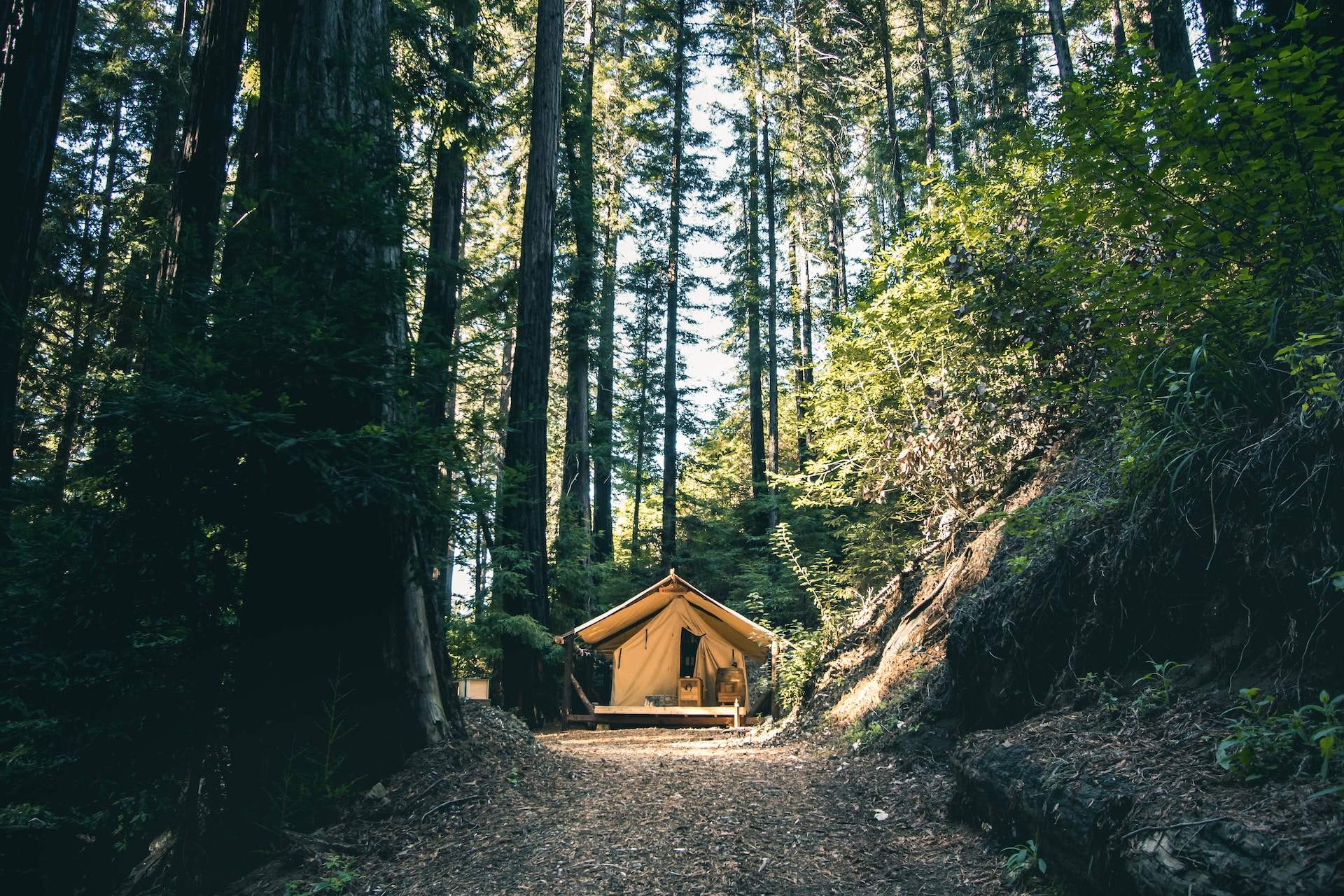 Outdoorsy’s Guide to Glamping