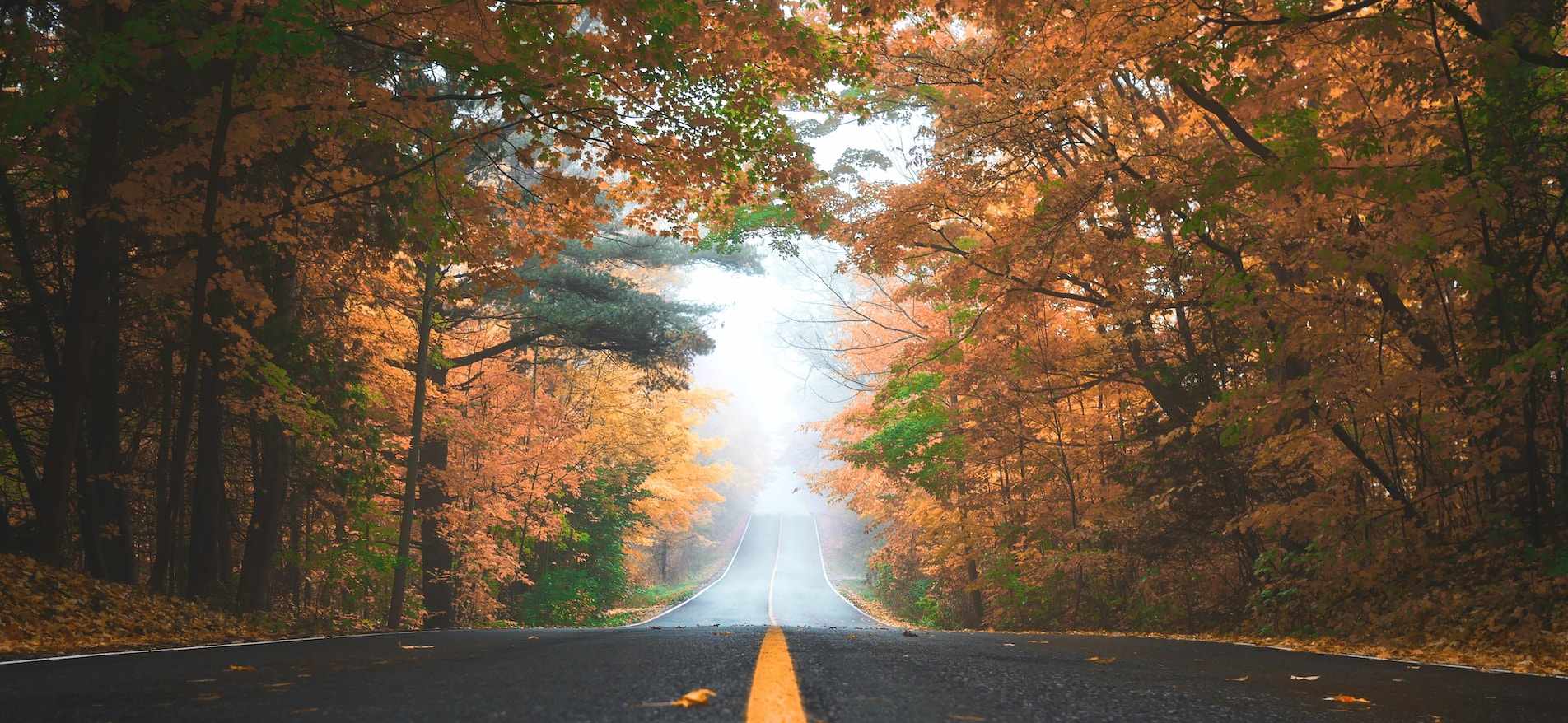 The Best Road Trips to Catch Fall Foliage